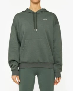 Alo Yoga Accolade Hoodie -EQUINOX Sales 022 W3550RG DARKCACTUS 002