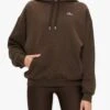Alo Yoga Accolade Hoodie -EQUINOX Sales 077 W3550RG ESPRESSO 001