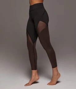 Fuse Gloss Legging -EQUINOX Sales FUSE GLOSS LEGGING DARK OAK 3