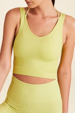 Alala Seamless Crop Tank