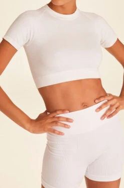 Alala Barre Seamless Tee -EQUINOX Sales LOOK 5b FB TO113 096 Large ba2fda65 1f2c 43b9 8a79 1d81261f9ffe