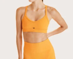 Alala Barre Cami Bra -EQUINOX Sales look15 SU23 BR75 SU23 SH30 133 7823d788 2bb6 481c bbfb 98c2a5374002